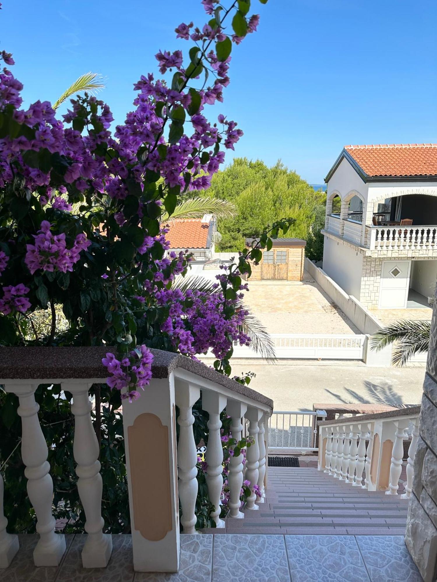Apartmani Bermanec Vir Exterior photo